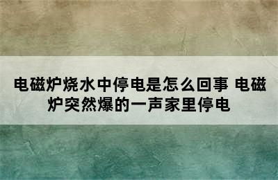 电磁炉烧水中停电是怎么回事 电磁炉突然爆的一声家里停电